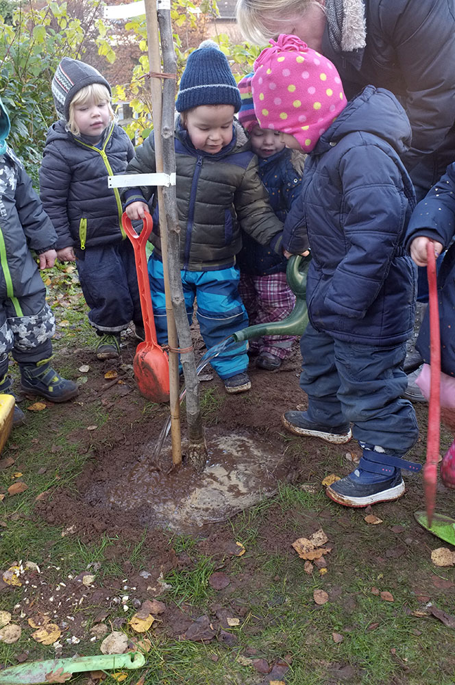 Wir pflanzen einen Baum
