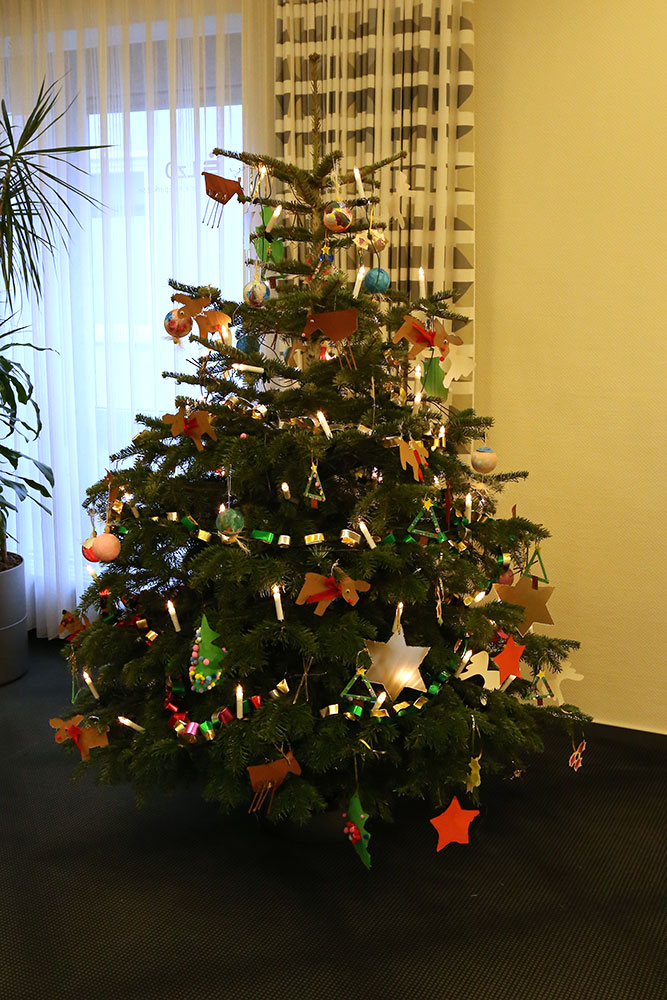 Von uns geschmückter Weihnachtsbaum in der LzO